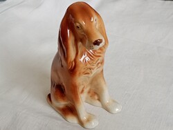 Porcelán cocker spániel kutya figura 16cm Royal Dux No438