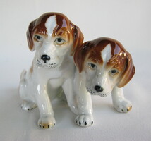 Beagle kölyök kutya pár porcelán