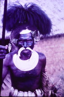 DIA! Pápua Új-Guinea törzsi harcos lándzsával – Arcfestés, tollas fejdísz és agyar díszek