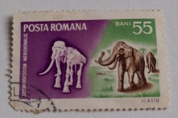 1966 Őskori állatok