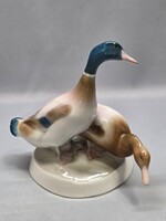 Zsolnay porcelán vadkacsák
