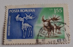 1966 Őskori állatok