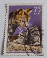 1965 Macskák