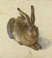 Albrecht Dürer Nyúl 1502 vászon reprodukció vászonkép nyomat nyuszi 52x46,8 cm