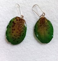 Bellatulum orchidea szirom fülbevaló