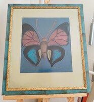 Szántó Piroska Pasztell festménye pillangó 56x64 cm kerettel