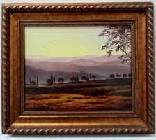 Bihari Puhl Levente festmény, 40x50 cm, kerettel 59x70 cm,
