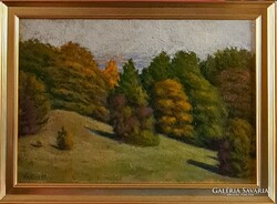 Vadon Benjámin (1888 - ?) : Őszi domboldal