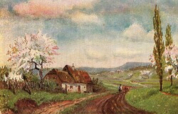 Képeslap: Férfi, szántó.