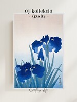 Ázsia kollekció - Ohara Koson 1925, Vintage ázsiai alkotás reprintje, poszter, plakát, 45*30 cm