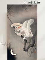 Ázsia kollekció - Bagoly, Ohara Koson Vintage ázsiai alkotás reprintje, poszter, plakát, 37*20 cm
