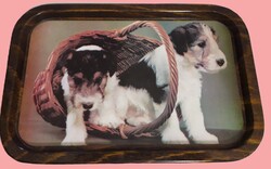 1980'S.Retro fémtálca fém litografált felülettel ,nagyon jó állapotban ARANYOS FOX TERRIER KISKUTYÁK