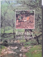 Ezer ágán ezer fészek