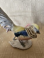 Ens fácán porcelán