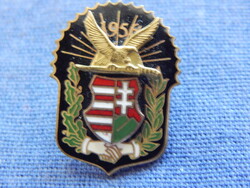 1956-os emlékjelvény turullal