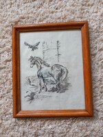Grafika ló  keretezett kép 24x29cm