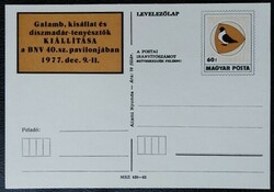 LD258 / 1977 Galamb-, kisállat-és díszmadártenyésztők kiállítása díjjegyes levelezőlap