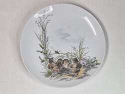 Ritka Hutschenreuther madár és szöcske motívumos porcelán tányér vagy falidísz hibátlan 20 cm.
