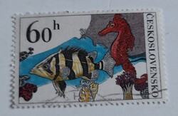 1975 Akváriumi halak
