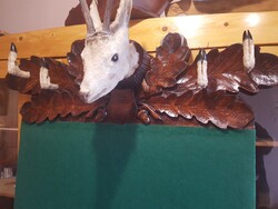 Trófea fogas korának megfelelő állapotban
