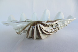 Hollóházi porcelán tengeri kagyló