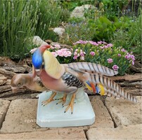 Unterweissbach porcelán madár fácán pár gyémántfácán nagy 30 cm