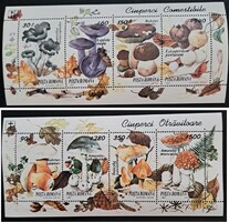Romania 1994 - Mushrooms (Edible and poisonous mushrooms) 2 pcs  mini sheet, postally clean