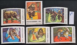 Segítséget kérek eladásra a Savarian / Vaterál (leírás és ár) - magyarul