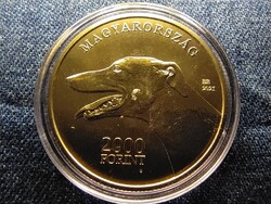 Magyar agár 2000 Forint 2021 BP PL