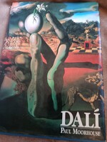 Dali  Paul Moorhouse  Corvina kiadó