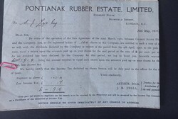 1911 Pontianak Rubber Estate Ltd. részvényesi kifizetési értesítő – London