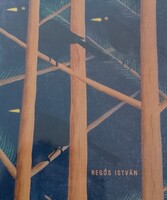 Regős István (művészeti album)