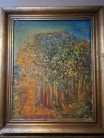 JÁK PÉTER 2023 o/v 40X50 cm "PARKRÉSZLET"-- VESZPRÉM-kerettel