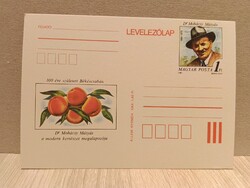 Dr. Mohácsy Mátyás 1981 - Díjjegyes levelezőlap