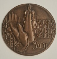 Asszonyi Tamás (1942- ) 1984. "Munkavédelmi Tevékenységért" SZOT-Díj" bonz plakett  10,6 cm díszdobo