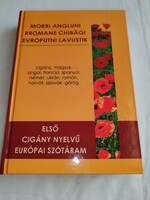 Rézműves Melinda: Első cigány nyelvű európai szótáram