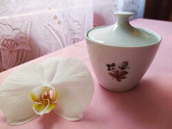Vintage Winterling Bavaria jelzett porcelán cukortartó tetővel – Hibátlan