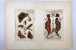 Lepkék, hernyók és rovaranatómiai részletek – kézzel színezett antik rovartani rézmetszetek, 1800 kö