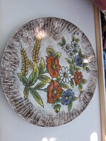 Antik/Vintage fali kerámia tányér, Stein am Rhein