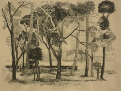(N) Duray Tibor (1912-1988) : Kis park