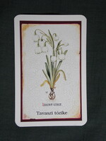 Kártyanaptár,Mozsonyi gyógyszertár,patika,Pécs,tavaszi tőzike virág, 2007   (8)