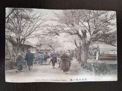 D210177   JAPÁN  - Tokyo - Cherry Blossom at Mukojima  -1910  Cseresznyevirágzás kopott, sérült lap