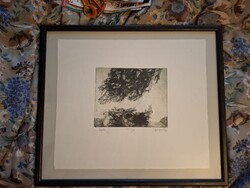 Sulyok Gabriella: ... elszáll ..... 19,5x24 cm, Rézkarc merített papír, ajánljon!