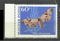 Lepkék 60 f