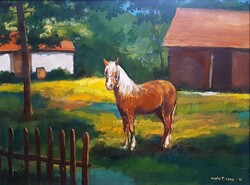Kovács Tamás Vilmos - Ló az udvarban 60 x 80 cm olaj, farost 1992