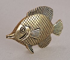 Miniatűr réz diszkosz hal