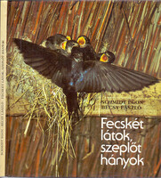 Schmidt Egon- Bécsy László: Fecskét látok, szeplőt hányok