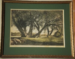 (N) Kaveczky Zoltán (1897–1965) : Tiszaparti fűzfák
