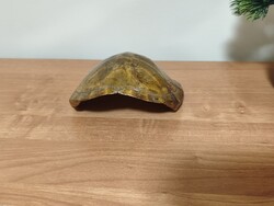 Eredeti preparált teknős páncél