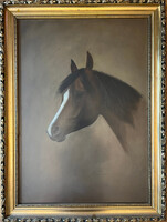 Udvarnoki András - Horse Portrait II.